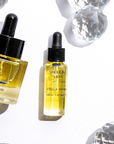 Mini Best Sellers Set plus Lush Lip Oil